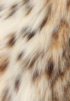 Шуба Christian Dior из меха рыси 