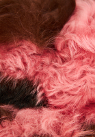 Меховое кепи Prada