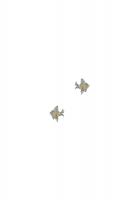 Клипсы-рыбы