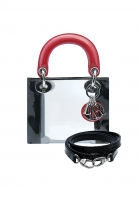 Прозрачная сумка Lady Dior