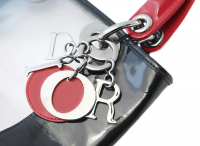 Прозрачная сумка Lady Dior