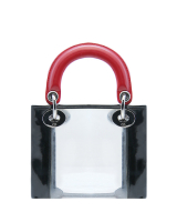 Прозрачная сумка Lady Dior