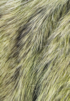 Дубленка Ermanno Scervino