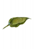 Брошь в виде листка Original by Robert