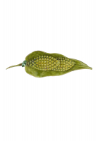 Брошь в виде листка Original by Robert