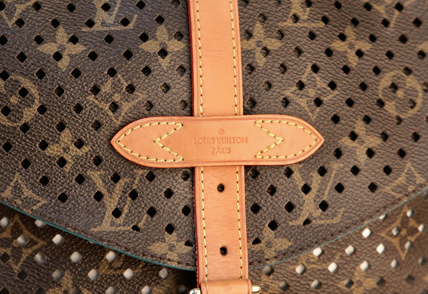 Сумка Louis Vuitton Limited Edition Saumur Mono Flore