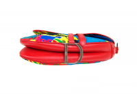 Сумка Christian Dior Rasta Mania Saddle