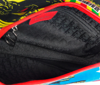 Сумка Christian Dior Rasta Mania Saddle