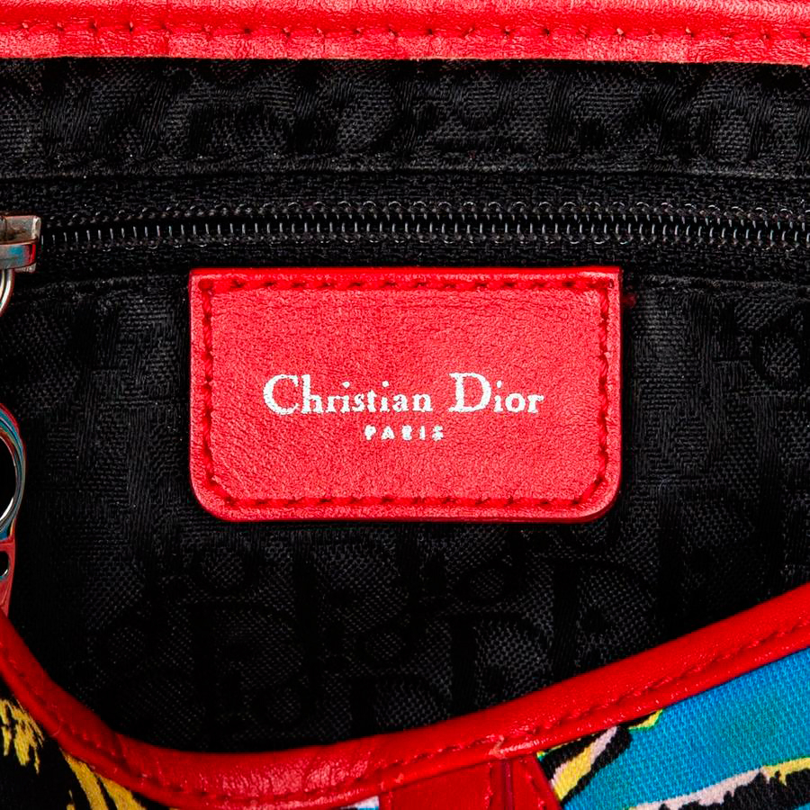 Сумка Christian Dior Rasta Mania Saddle