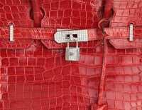 Крокодиловая сумка Hermès Birkin 30 с бриллиантами