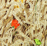 Шелковая блузка Hermès 