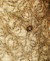 Золотистое платье-макси Chanel