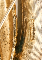 Золотистая брошь кукуруза