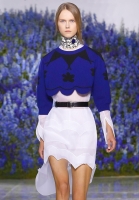 Укороченный свитер Christian Dior