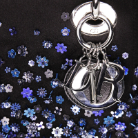 Лимитированная сумка Mini Lady Dior