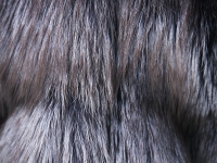 Шуба Escada из меха лисы