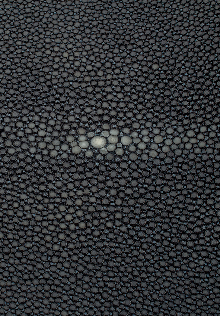 Широкий ремень Fendi