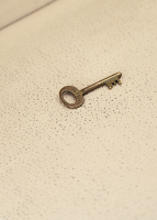 Чемодан Louis Vuitton