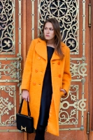 Сумка Hermès Constance 25