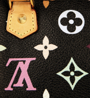 Сумка Louis Vuitton Nano Speedy