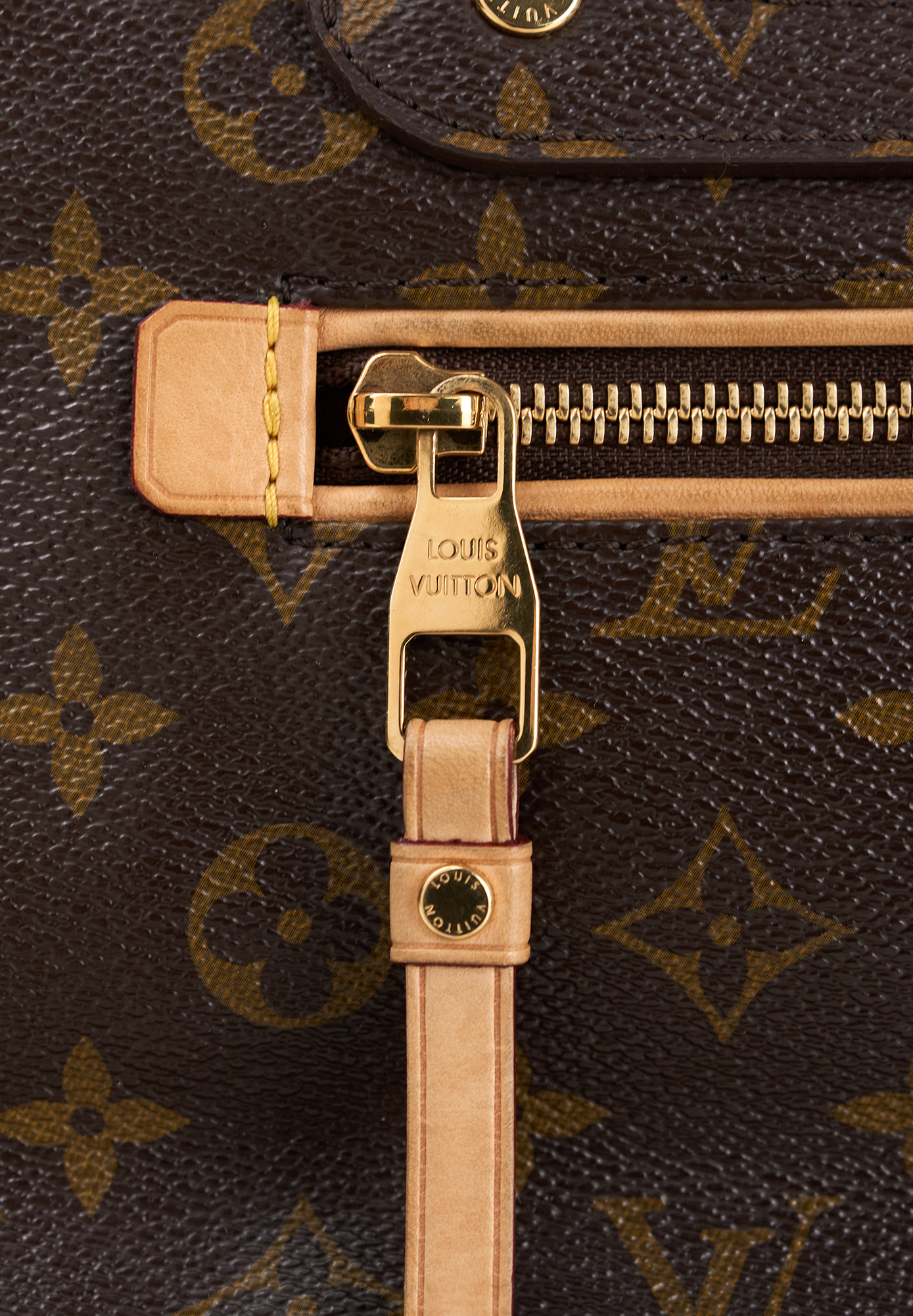 Сумка Louis Vuitton Monogram Olympe