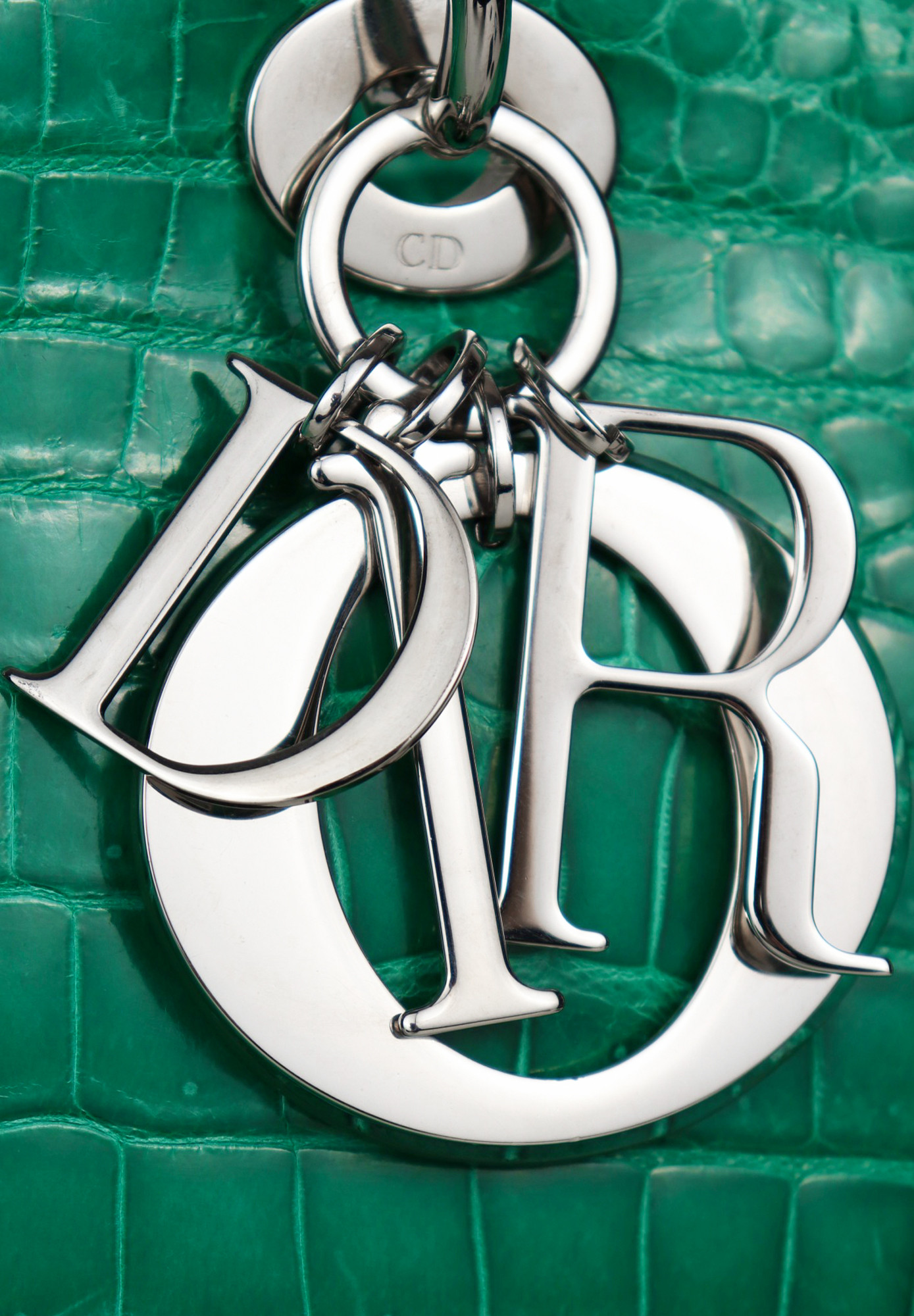 Крокодиловая сумка Lady Dior