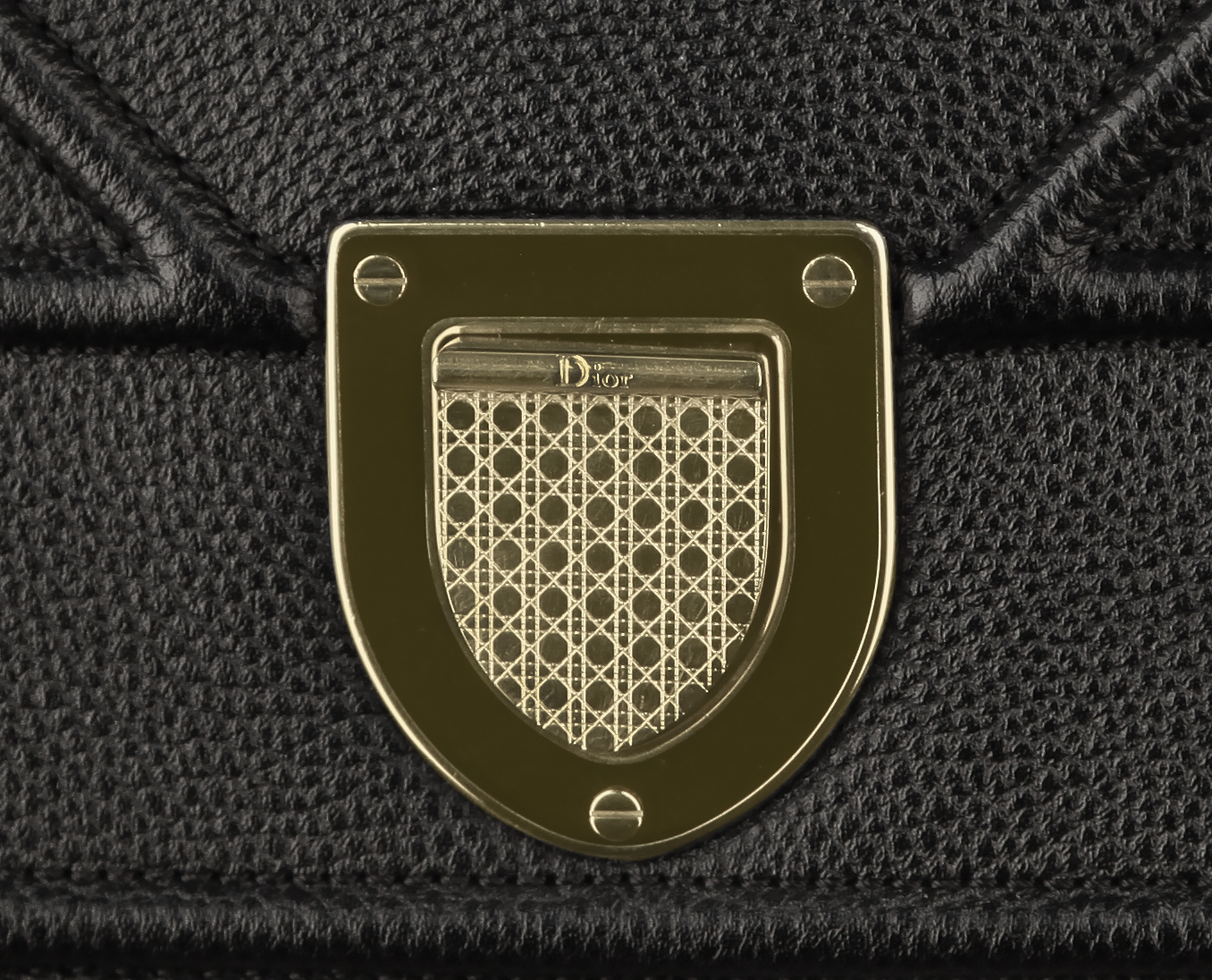 Чёрная кожаная сумка Christian Dior Diorama