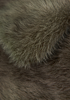 Норковая шуба Prada