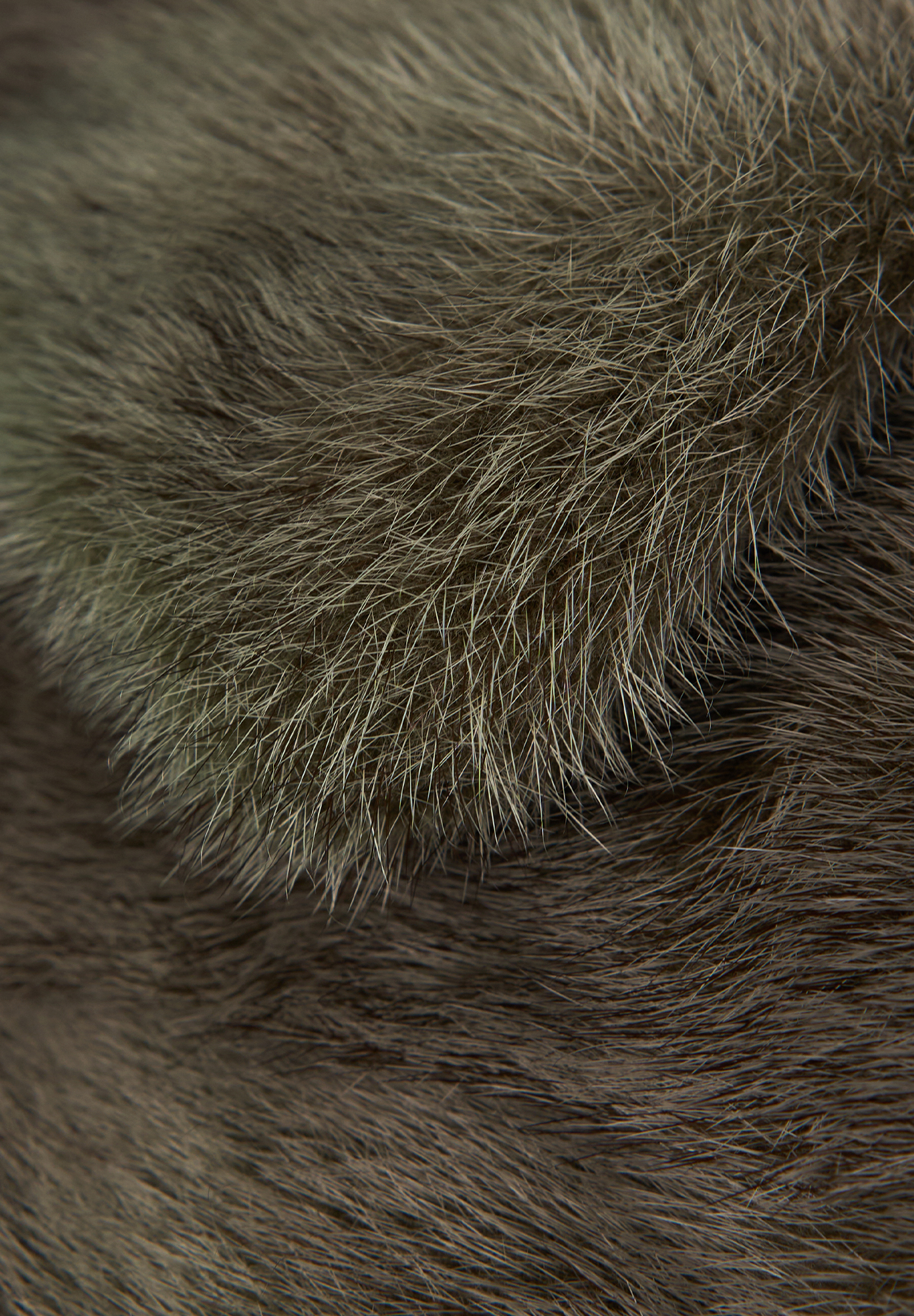 Норковая шуба Prada