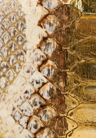 Клатч Christian Dior из кожи питона