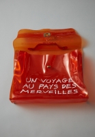 Виниловая сумка Hermès Kelly 40