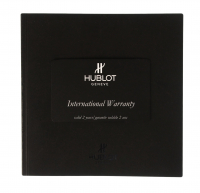 Стальные часы Hublot Big Bang