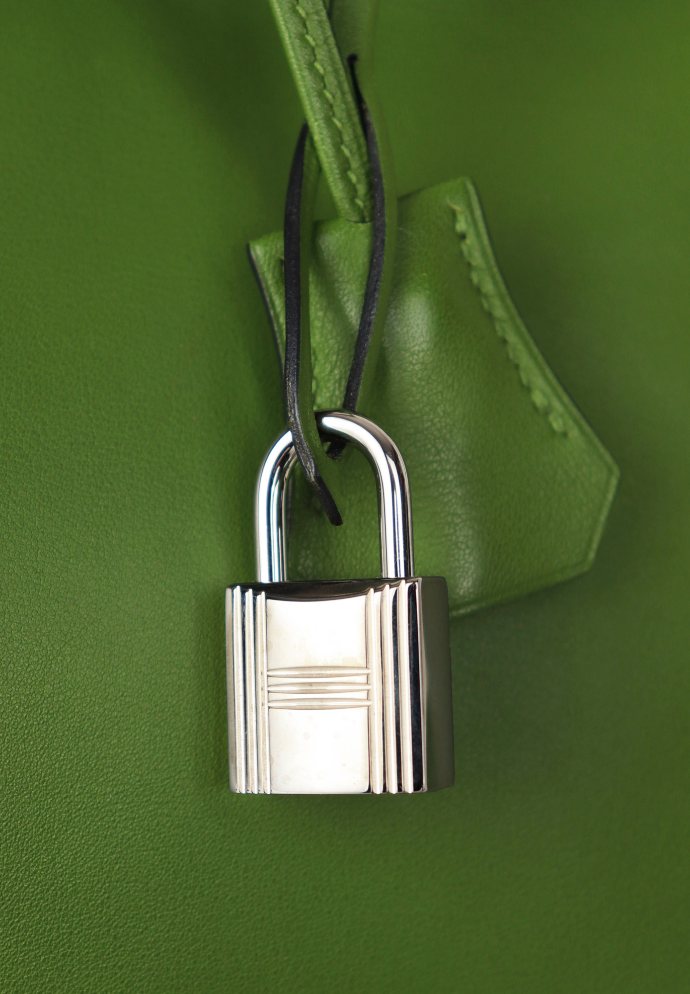 Сумка Hermès Birkin 35 Pelouse Swift