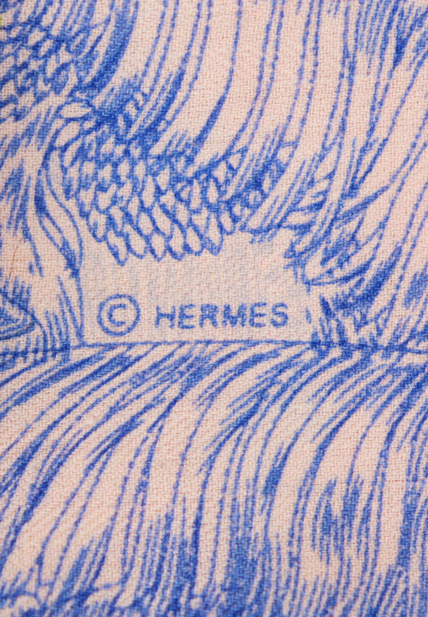 Кашемировая шаль Hermès Faubourg Tropical