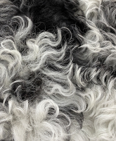 Чёрно-белая дубленка Miu Miu