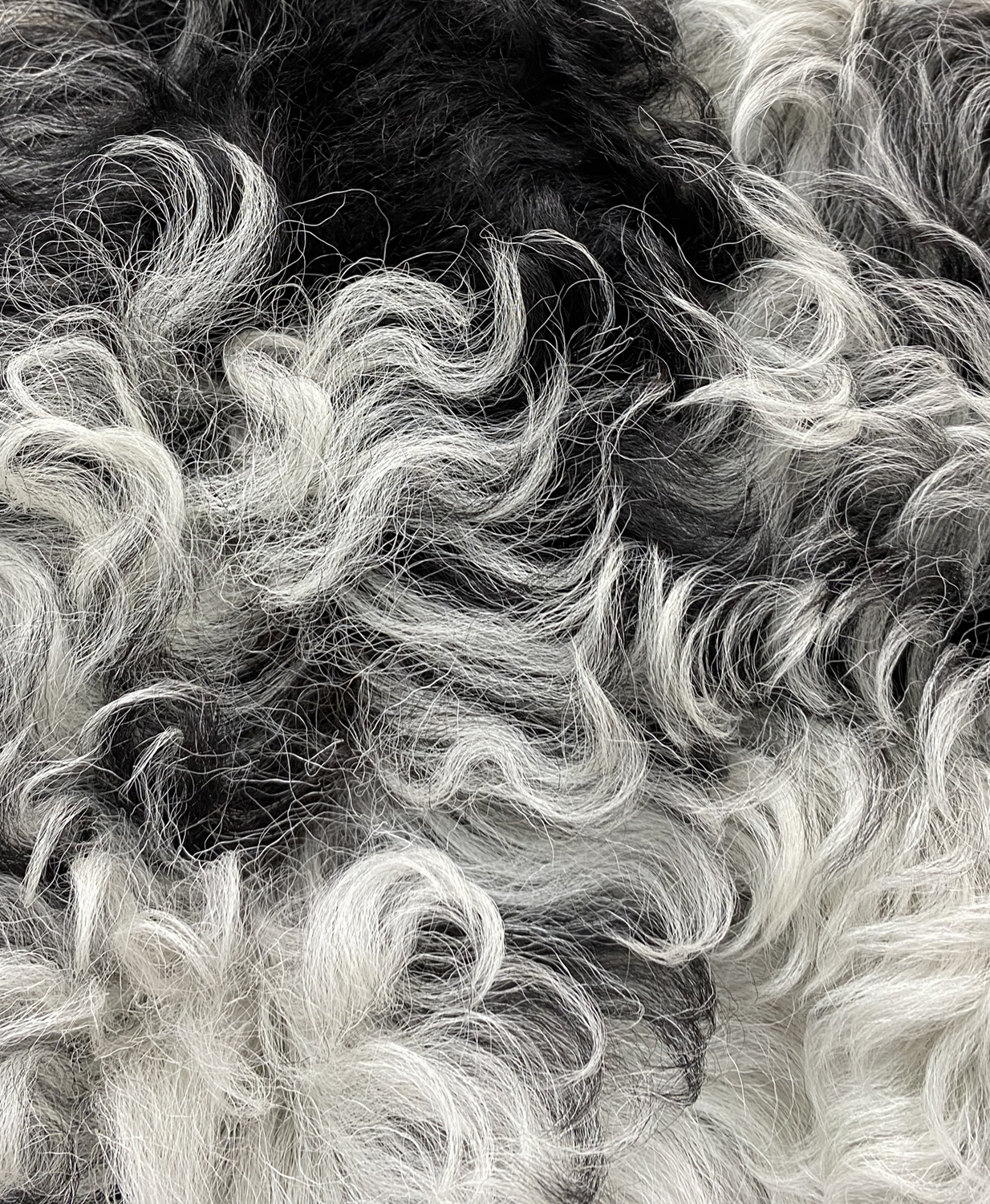 Чёрно-белая дубленка Miu Miu